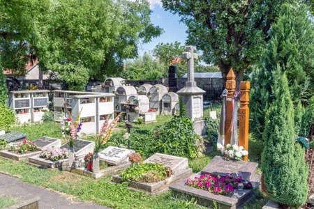 Vue d'ensemble de sépultures et monuments funéraires en cimetière