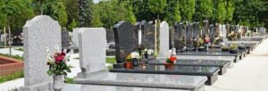 des fleurs sur des marbrerie