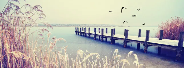 Ponton en bois au bord d'un lac paisible symbolisant le repos et la sérénité
